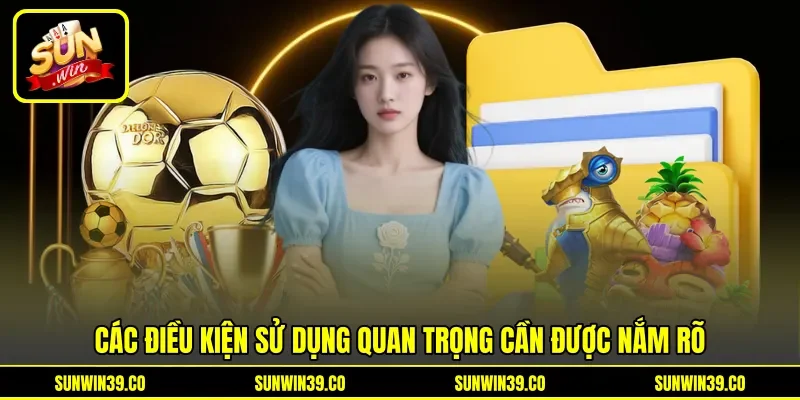 Các điều kiện sử dụng quan trọng cần được nắm rõ Các điều kiện sử dụng quan trọng cần được nắm rõ